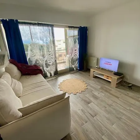 Appartement Studio 1 Piece Avec Canape - Lit A
